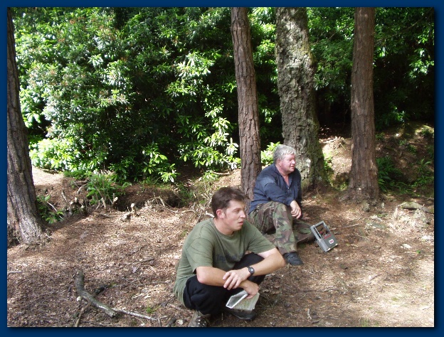 600x449 pixels (202K)